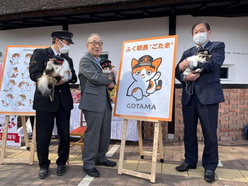 Osaka: Wakayama Cat Train, Seafood market, Hot Springs Tour - The Whimsical Cat Train Experience