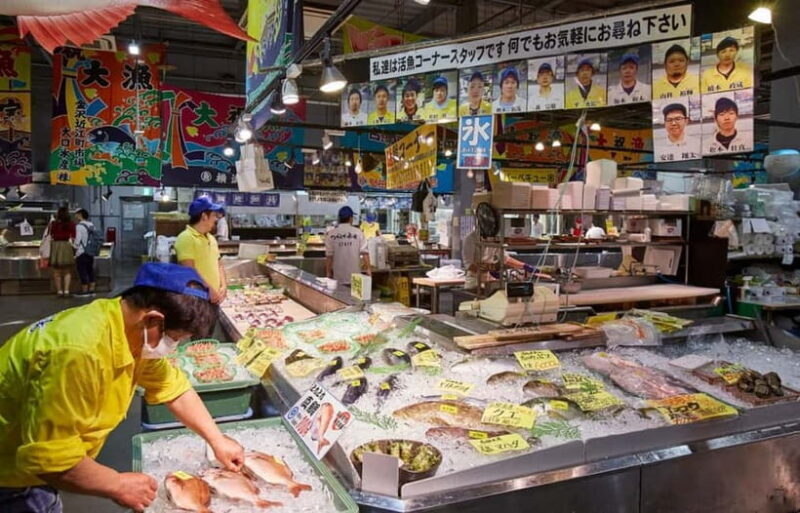 Osaka: Wakayama Cat Train, Seafood market, Hot Springs Tour - Final Thoughts: Who Is This Tour Best For?