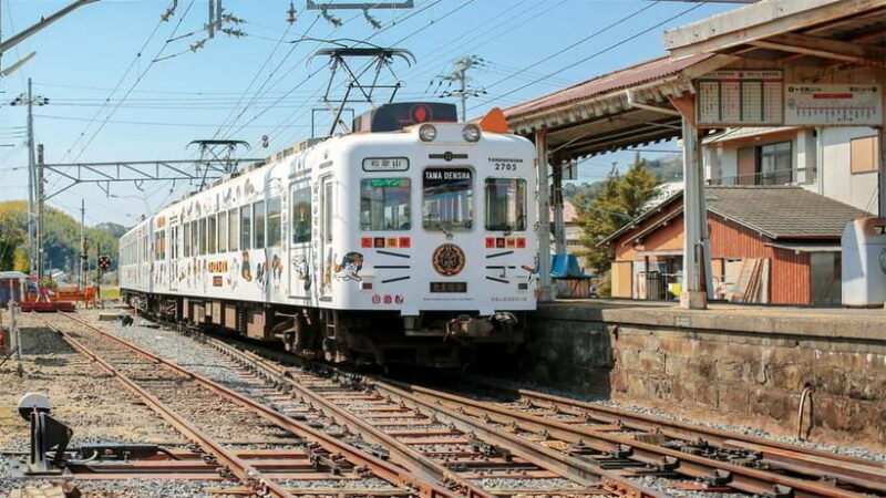 Osaka: Wakayama Cat Train, Seafood market, Hot Springs Tour - Osaka: Wakayama Cat Train, Seafood Market, Hot Springs Tour — A Deep Dive