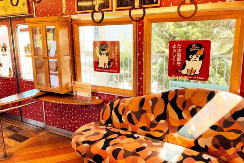 Osaka: Wakayama Cat Train, Seafood market, Hot Springs Tour - Who Will Love This Tour?