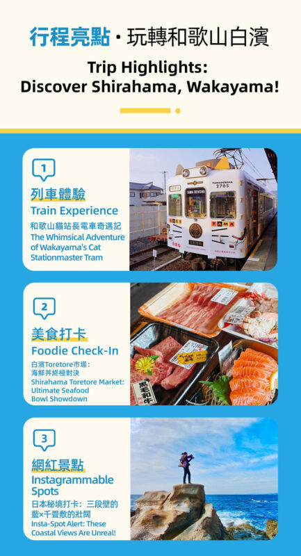 Osaka, Wakayama & Shirahama Coast Natural Scenery Day Tour - Toretore Market: seafood, browsing and a choice to make