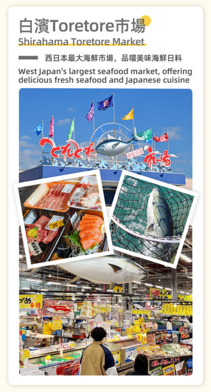 Osaka, Wakayama & Shirahama Coast Natural Scenery Day Tour - Sandanbeki Caves: cliffs, views and an optional extra