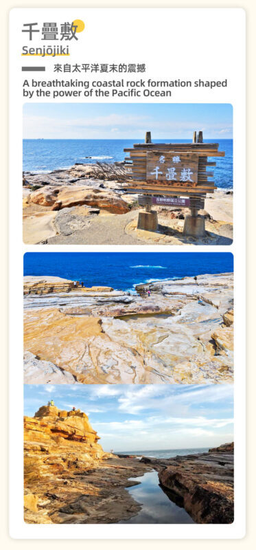 Osaka, Wakayama & Shirahama Coast Natural Scenery Day Tour - Who will get the most from this day