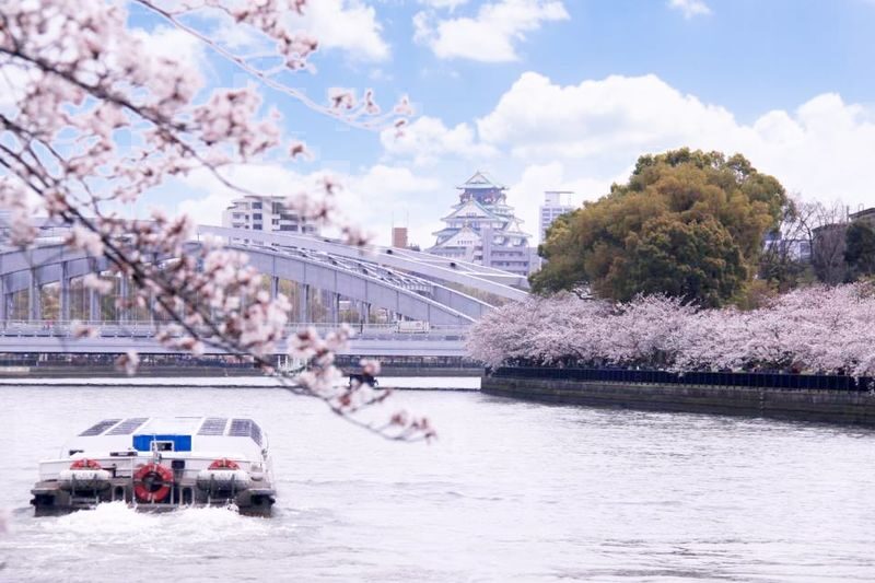 Osaka Walking Tour: Osaka Castle & River Cruise from Osaka or Kyoto - A full-day route from city views to samurai-era Osaka