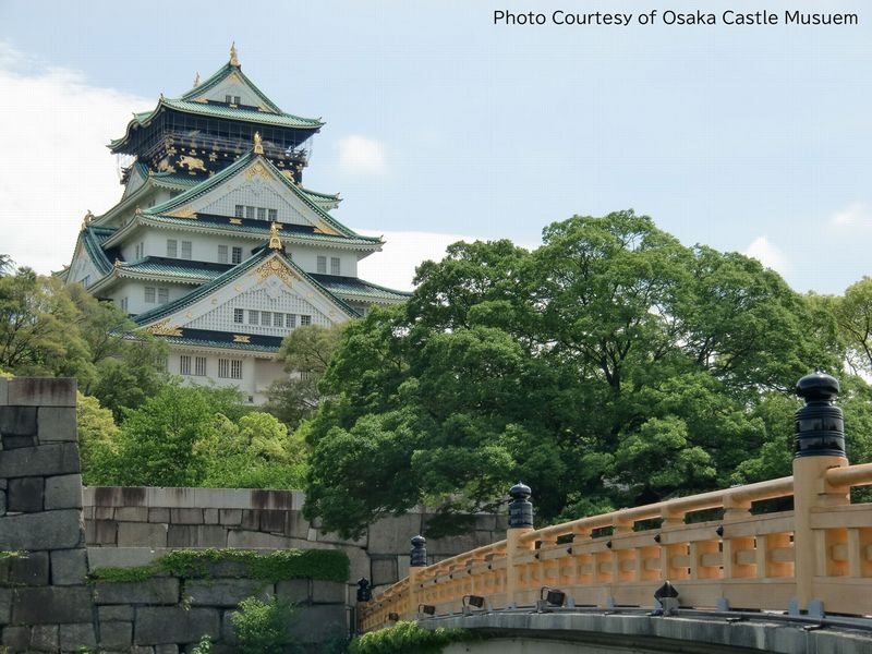 Osaka Walking Tour: Osaka Castle & River Cruise from Osaka or Kyoto - Is the price good value?