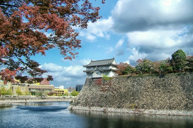 Osaka Walking Tour With a Licensed Guide - Tour Overview and Pricing