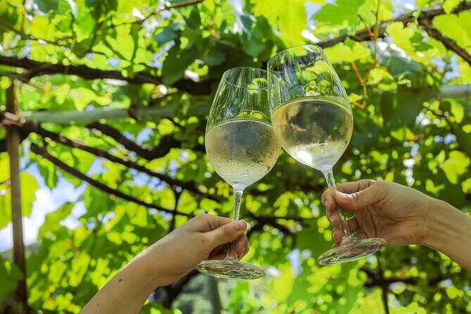 Osaka Wine Walking Tour: Japans Oldest Winery Historic town - Good To Know