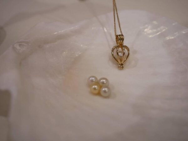 Osaka:Experience Extracting Pearls From Akoya Oysters - Background