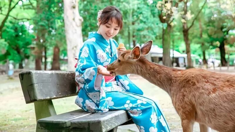 Osaka:Nara & Uji In-depth One-Day TourDeer Feeding - Pricing & Value
