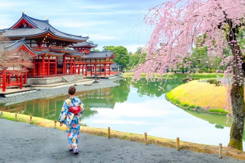 Osaka:Nara & Uji In-depth One-Day TourDeer Feeding - The Sum Up