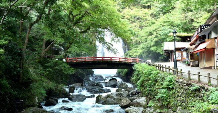 Osakas Secret Adventures: Daruma Magic and Minoh Falls - Good To Know