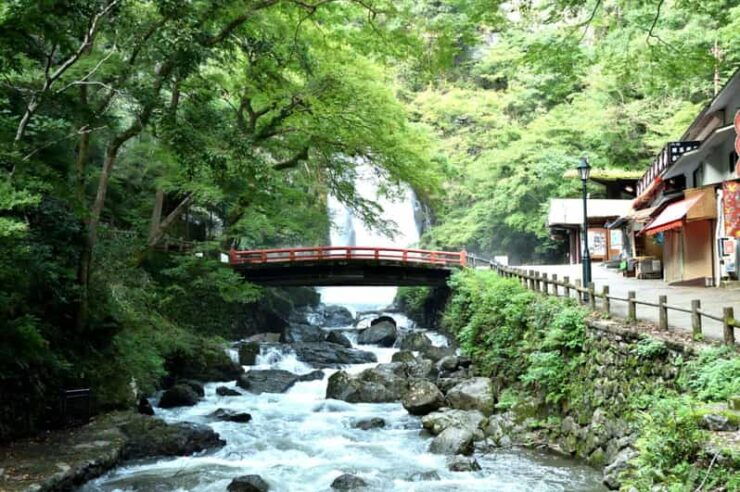 Osakas Secret Adventures: Daruma Magic and Minoh Falls - Katsuoji Temple Experience