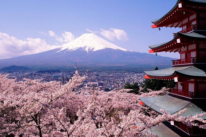 Oshino Hakkai and Hot Spring Trip From Tokyo to Mt. Fuji - Directions