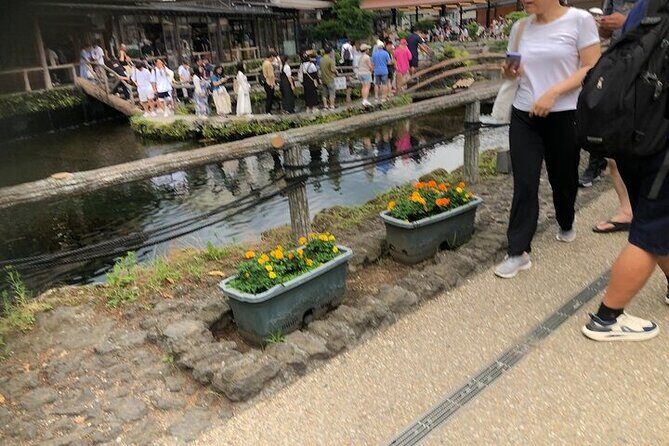 Oshino Hakkai and Kitaguchi Hongu Sengen Shrine Guided Tour-Van - A Closer Look at the Tour Experience