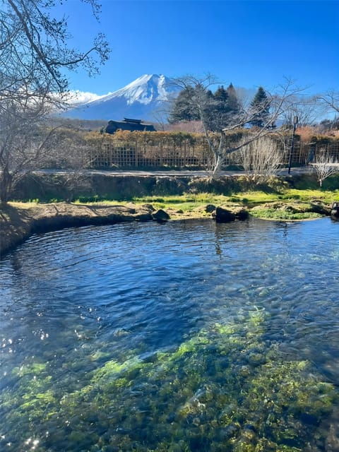 Oshino Hakkai, Ole Hot Spring in Mount Fuji One Day Tour - Accessibility and Group Size