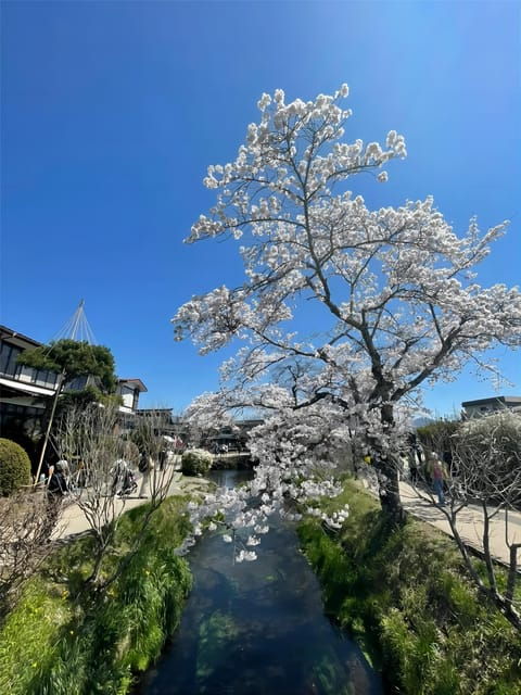 Oshino Hakkai, Ole Hot Spring in Mount Fuji One Day Tour - Important Information
