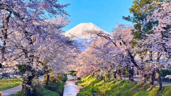 Oshino Hakkai, Ole Hot Spring in Mount Fuji One Day Tour - Customer Reviews