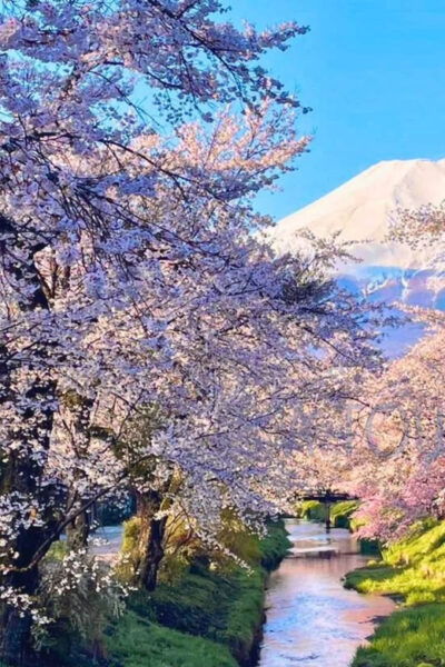 Oshino Hakkai, Ole Hot Spring in Mount Fuji One Day Tour - How to Book Your Tour