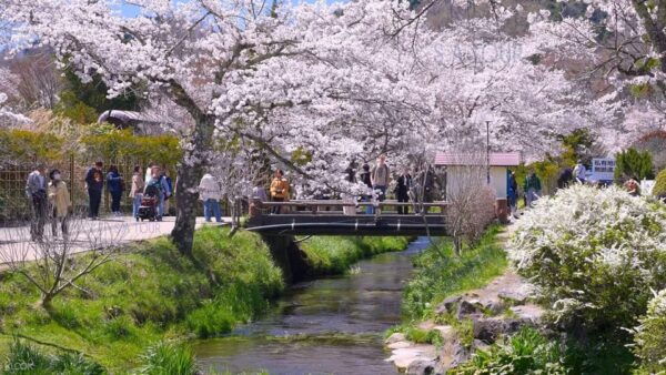 Oshino Hakkai, Ole Hot Spring in Mount Fuji One Day Tour - Frequently Asked Questions