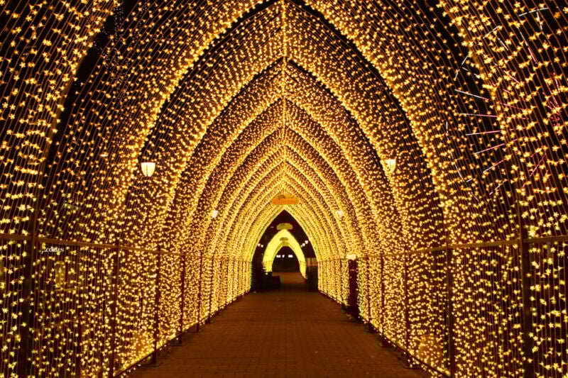Oslo: 2-hour Christmas Private Walking Tour - Who Is This Tour Best For?