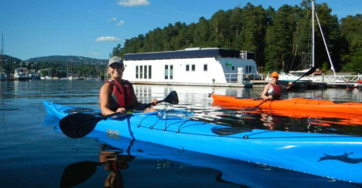 Oslo: 3-hour Kayaking Trip on the Oslofjord - Experience Highlights
