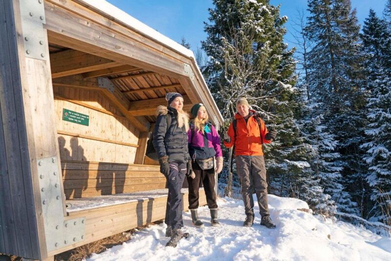 Oslo: Best View of the Oslofjord Winter Edition - Practical Tips for Participants