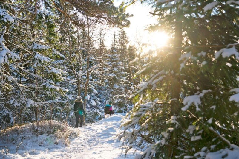 Oslo: Best View of the Oslofjord Winter Edition - The Value of the Experience