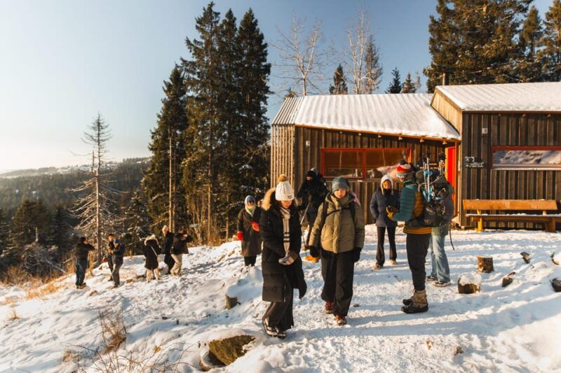 Oslo: Best View of the Oslofjord Winter Edition - Who Should Book This Tour?