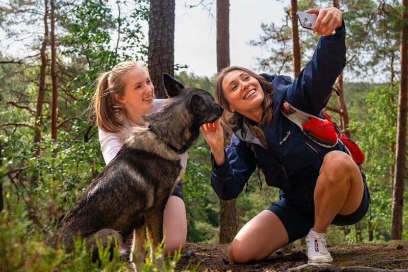 Oslo: Forest Hike with Guide & Husky - Overview of the Experience