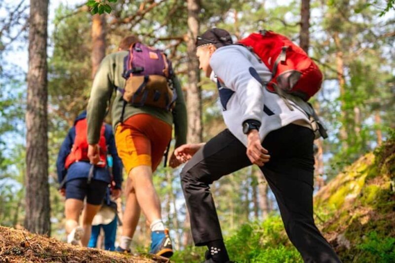 Oslo: Forest Hike with Guide & Husky - What You Need to Know