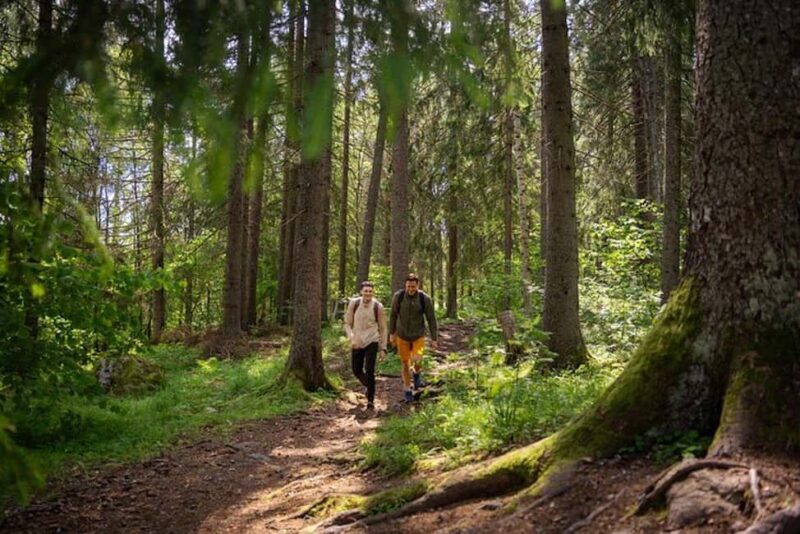 Oslo: Forest Hike with Guide & Husky - Similar Experiences