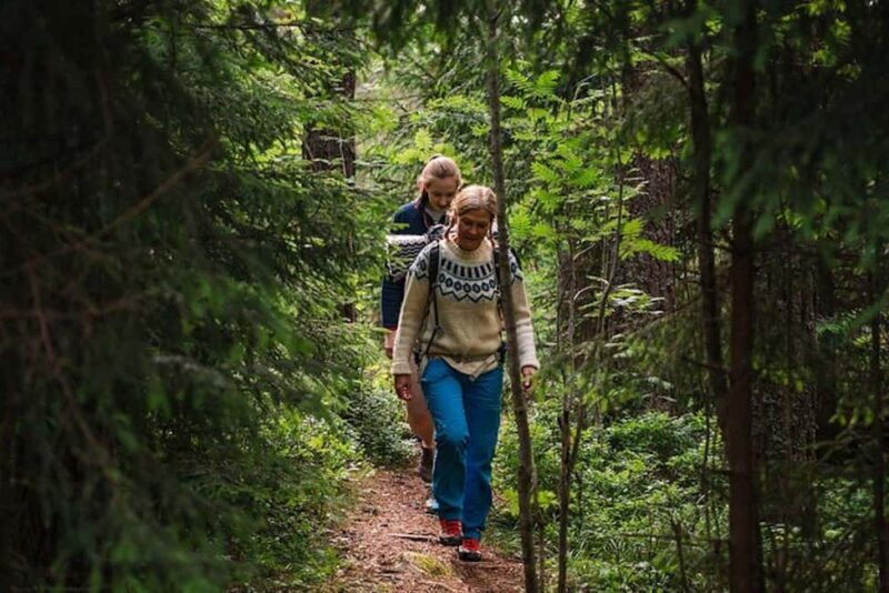 Oslo: Forest Hike with Guide & Husky - In The Sum Up