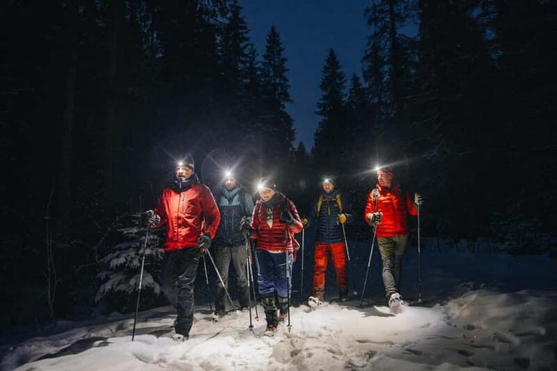 Oslo Forest: Mystery Nocturne Walk with Headlamps - An In-Depth Look at the Nocturne Experience
