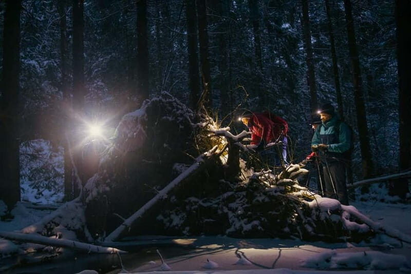 Oslo Forest: Mystery Nocturne Walk with Headlamps - The Real Value of the Tour