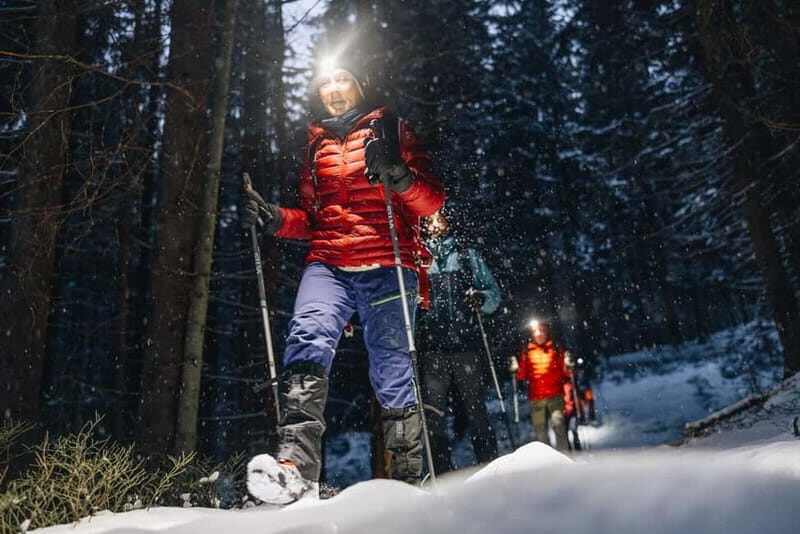 Oslo Forest: Private Mystery Nocturne Walk with Headlamps - Final Thoughts