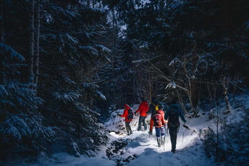 Oslo Forest: Private Mystery Nocturne Walk with Headlamps - FAQ
