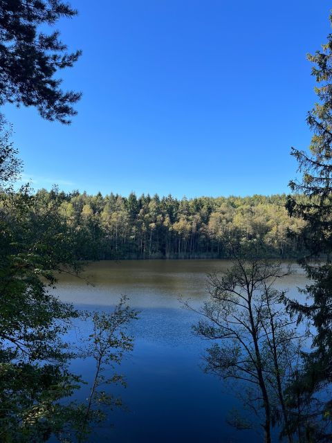 Oslo: Guided Forest Hike With a Dog and Norwegian Waffles - Activity Details