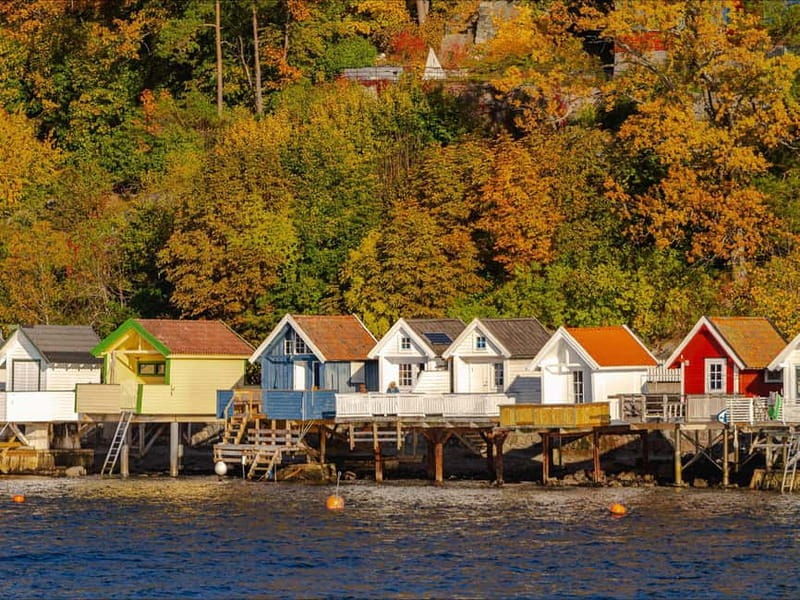 Oslo: Guided Sightseeing Fjord Cruise on Premium Silent Boat - The Sum Up