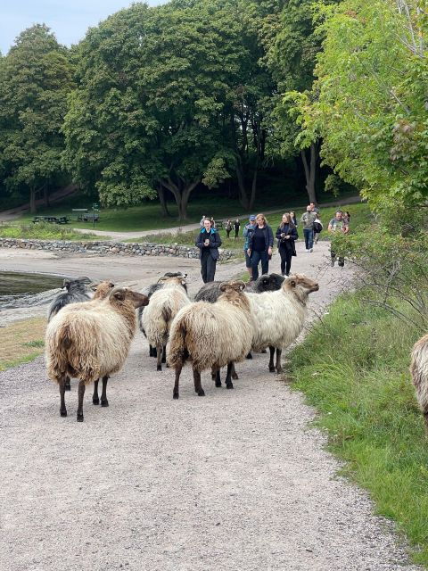 Oslo Island Walks: Island Hopping Tour - Activity Details