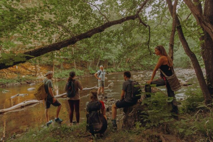 Oslo: Lysaker Wild River Walk - Activity Details