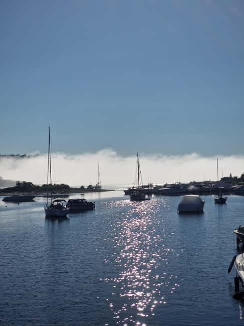 Oslo: Malmøya Island Guided Hike with Waffle and Drink - Good To Know