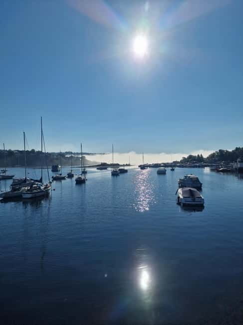 Oslo: Malmøya Island Guided Hike with Waffle and Drink - What Makes This Tour Stand Out?