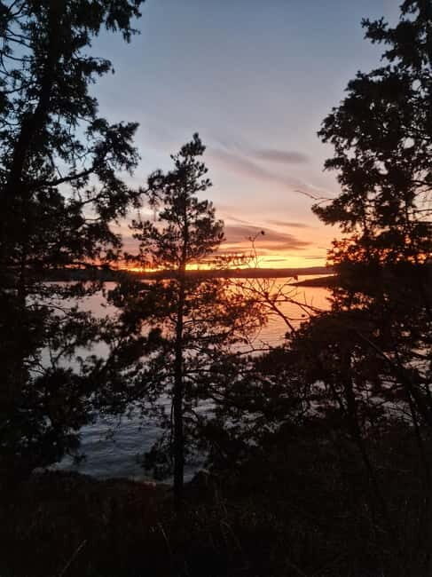 Oslo: Malmøya Island Guided Hike with Waffle and Drink - Practical Details and Considerations