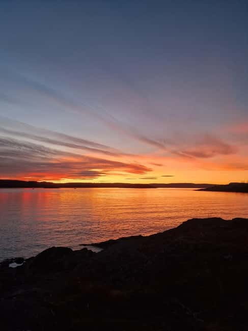 Oslo: Malmøya Island Guided Hike with Waffle and Drink - Final Thoughts