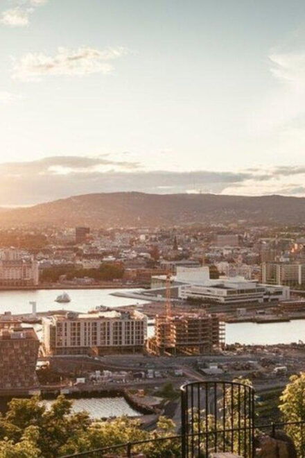 Oslo : Must-See Attractions Walking Tour With A Guide - Experience and Customization