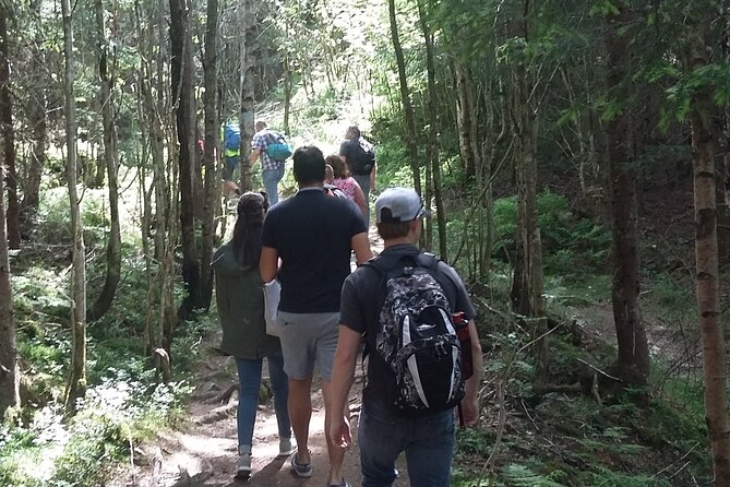 Oslo Nature Walks: Forest to Fjord - Traveler Photos, Tips, and Reviews