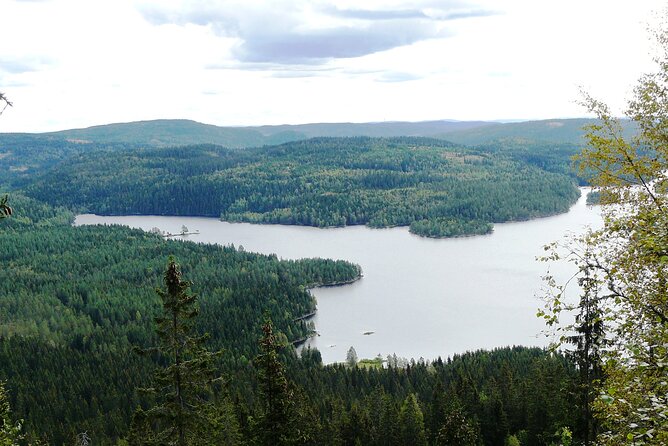 Oslo Nature Walks: Forest to Fjord - Explore Forests and Fjords