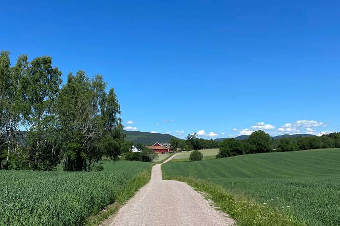 Oslo Private E-Mountain Biking Nature Tour - Tour Overview and Highlights