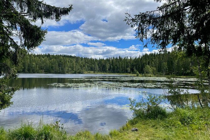 Oslo Private E-Mountain Biking Nature Tour - Meeting and Pickup Information