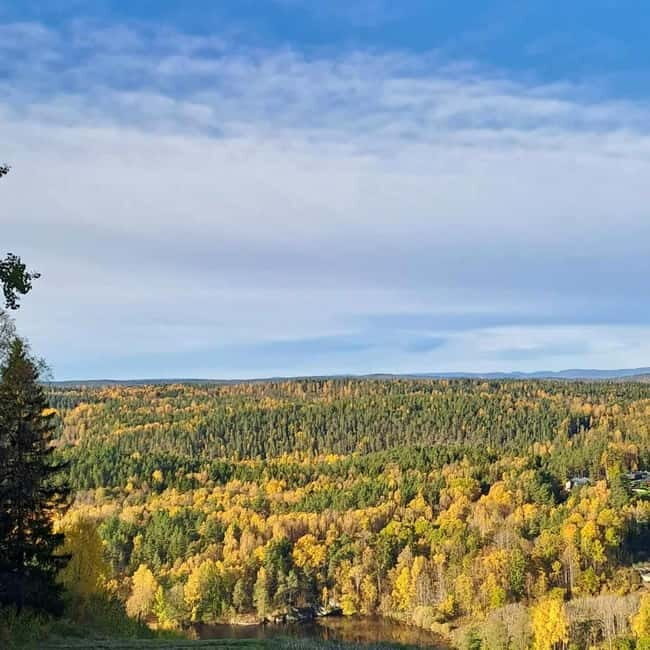 Oslo: Scenic Forest Hike with Dog & Local Guide - Good To Know